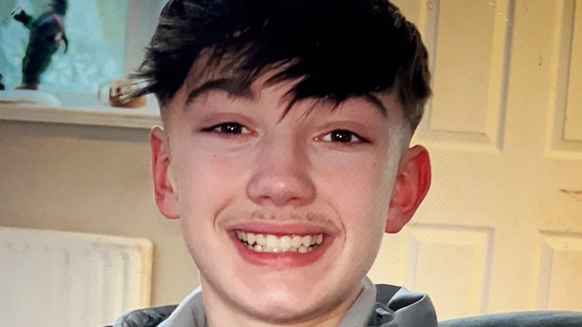 Boy, 14, is murdered as police arrest youth and appeal to those who filmed incident to come forward