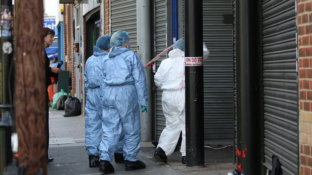 Police launch murder investigation after woman in her 20s is stabbed to death in South London