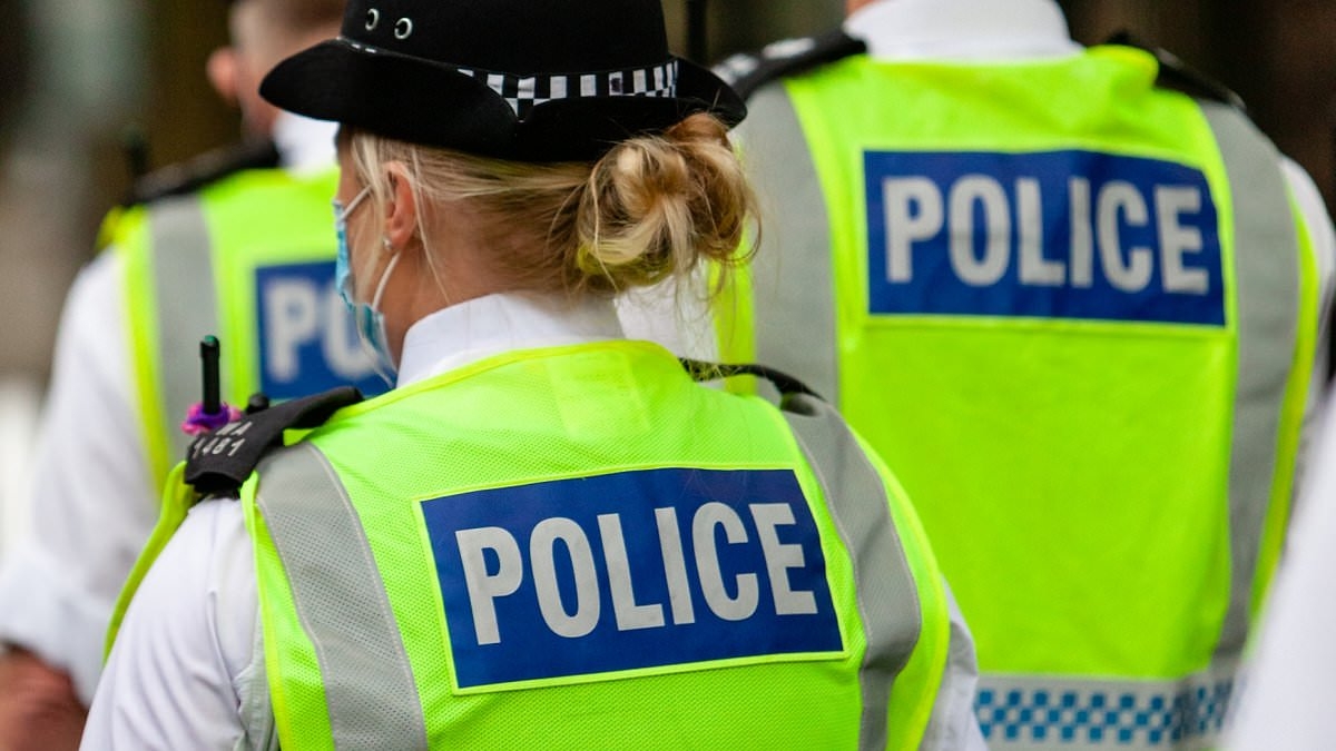 EXCLUSIVE DJs, beekeepers and reiki healers: The bizarre second jobs of the UK police force as it is revealed 1 in 7 cops have additional employment
