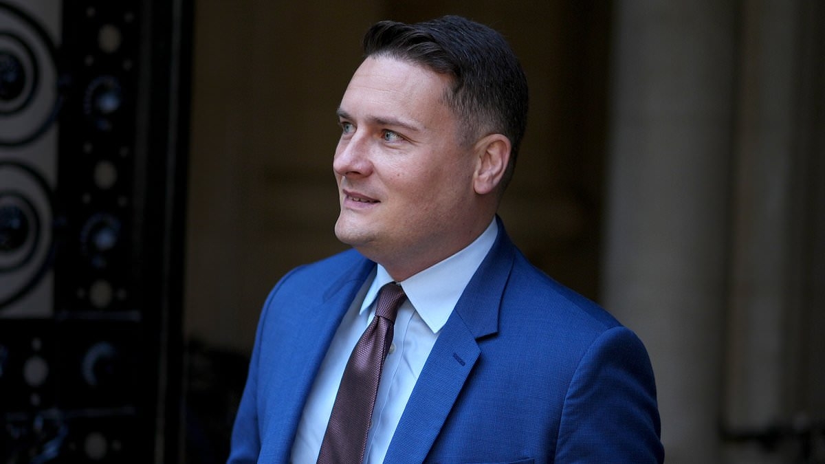 EXCLUSIVE Wes Streeting urged to ditch 'absurd' bid to electrify all UK ambulances within 15 years