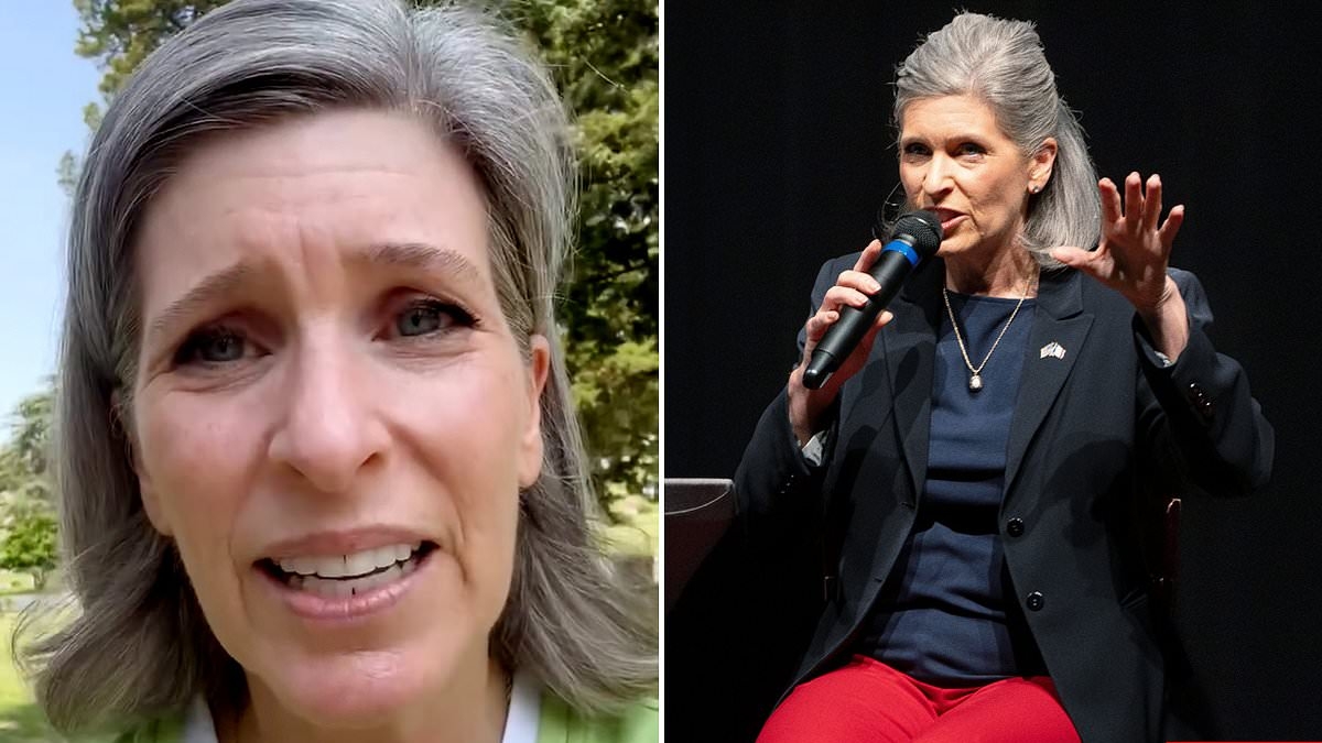 Republican senator responds to uproar after telling constituents 'we're all going to die'