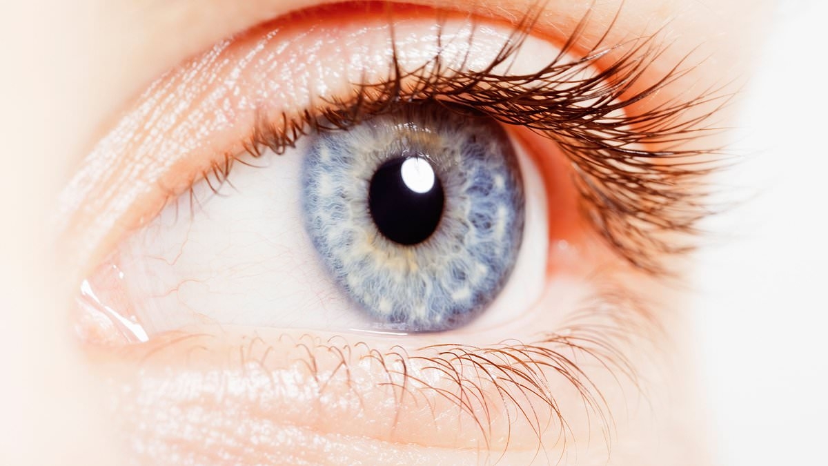 Scientists claim to have found a way to discover ADHD by looking at one body part