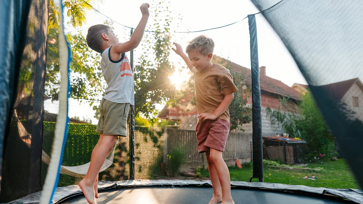 My neighbour asked to put their trampoline in my garden because they've got no room - I feel sorry for the children and don't know what to do