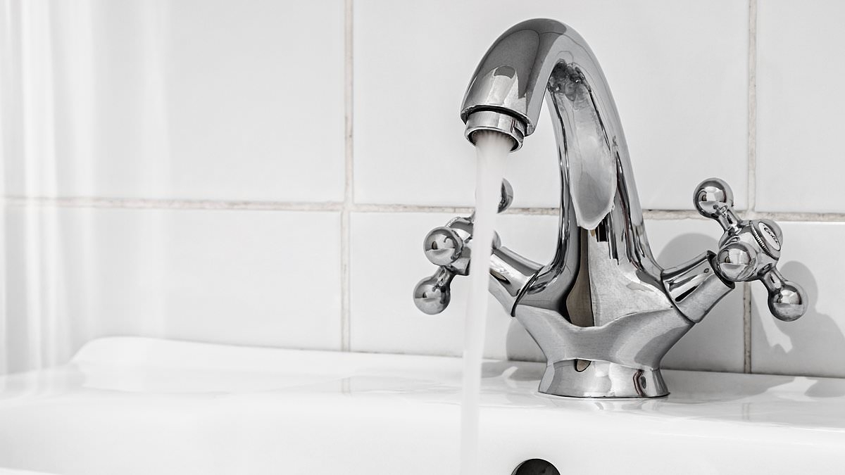 Brace for the 'bathtime tax'… Bigger families face being punished with huge bills as Labour 'backs plans to ramp up charges on high users'