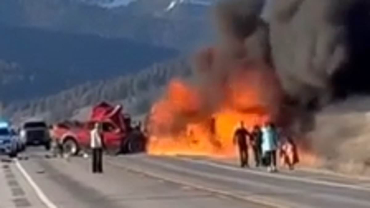 Sickening secret of truck driver, 25, who killed 7 in fiery crash at Yellowstone National Park