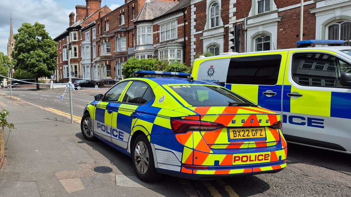 Two more people arrested after 'car drives into pedestrians following a fight at private event'
