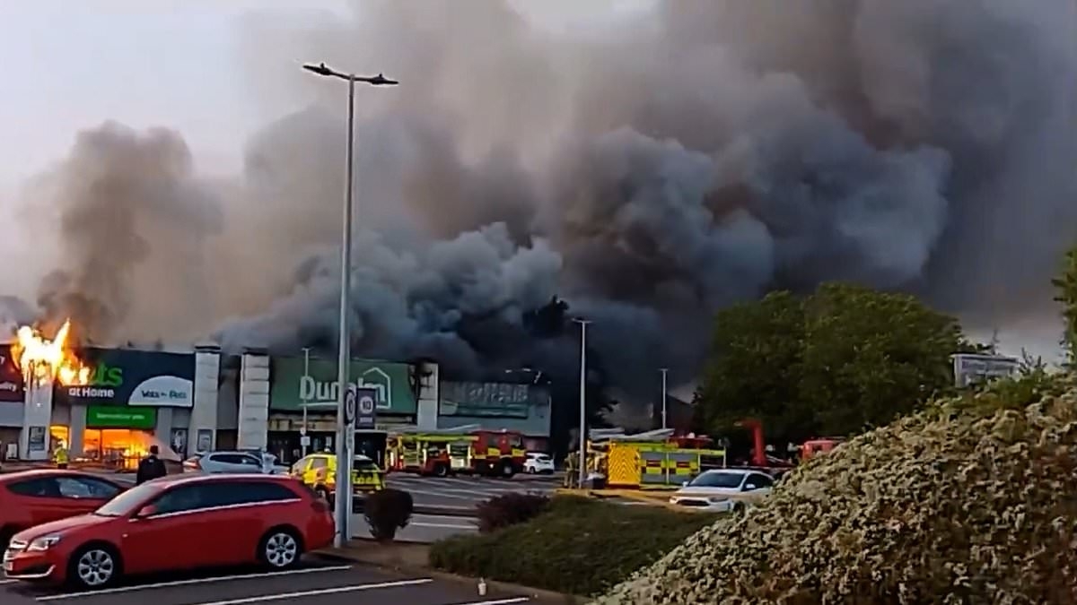 Three people are arrested after huge inferno rips through Dunelm and Pets At Home stores