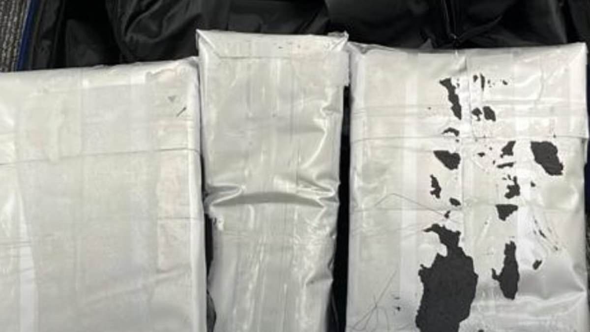 British pensioner 'drug mule', 79, arrested in Chile claims Mexican gang promised him £3.7million to carry suitcase with 5kg of crystal meth
