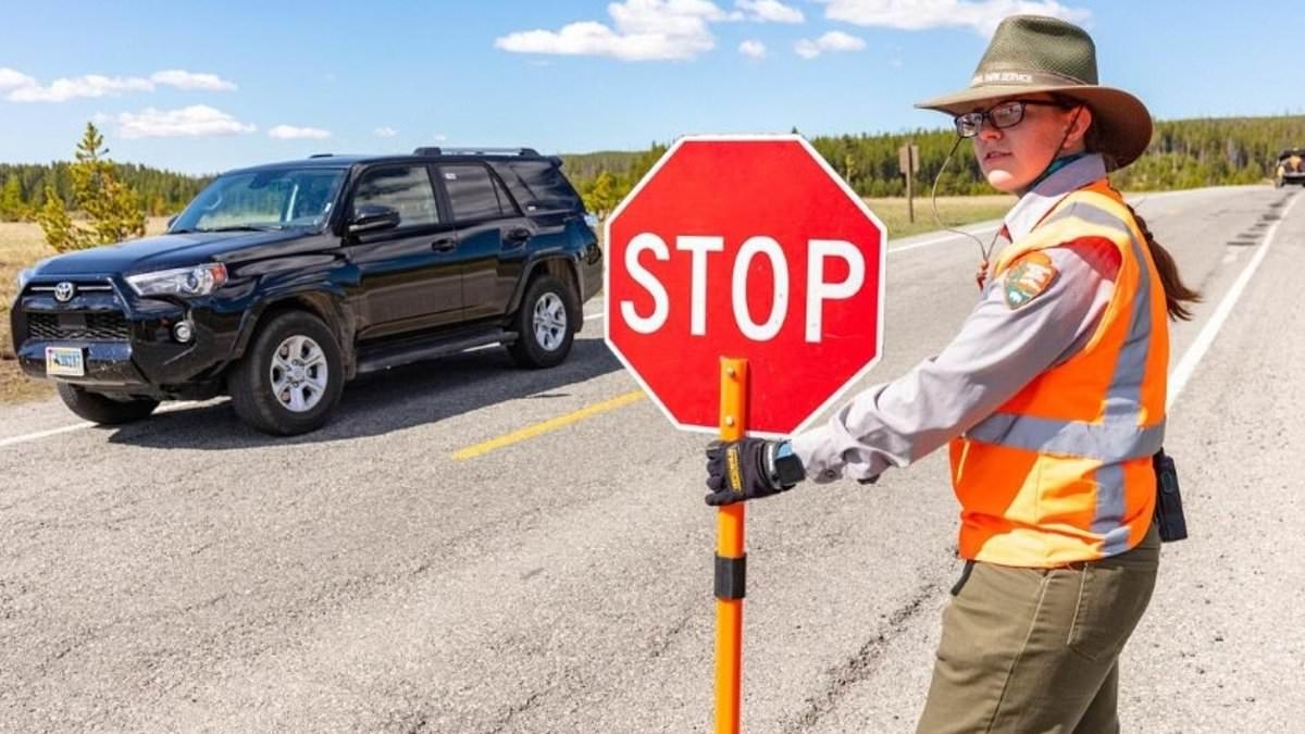 Yellowstone tourist's idiotic defense for hitting worker with his Jeep