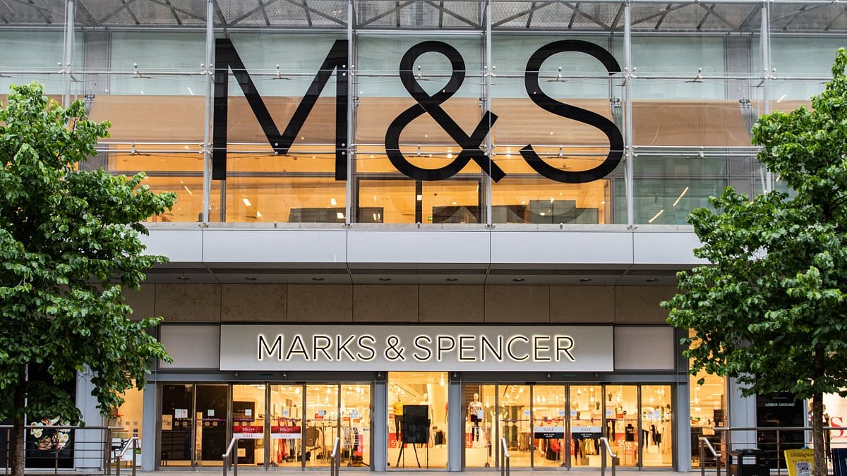 EXCLUSIVE WFH staff are leaving British businesses exposed to a lethal cyber attack that will 'cripple' their firms and wipe them out