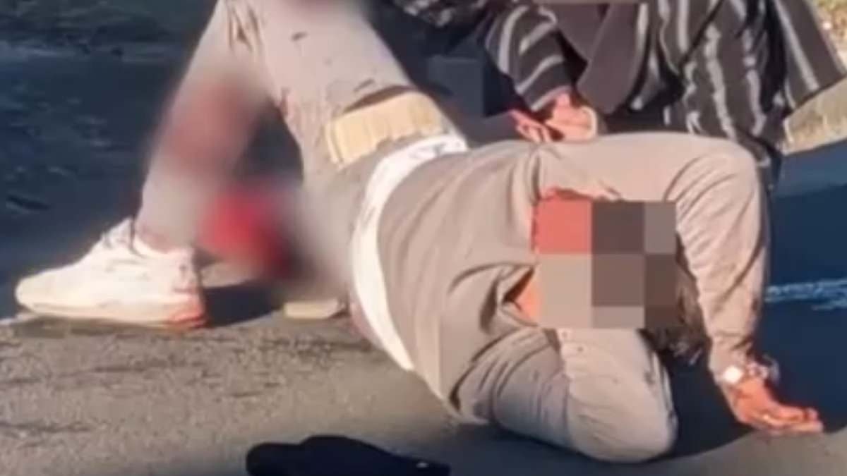 Bloodied driver is found with a gunshot wound on the side of the road after crashing allegedly stolen car
