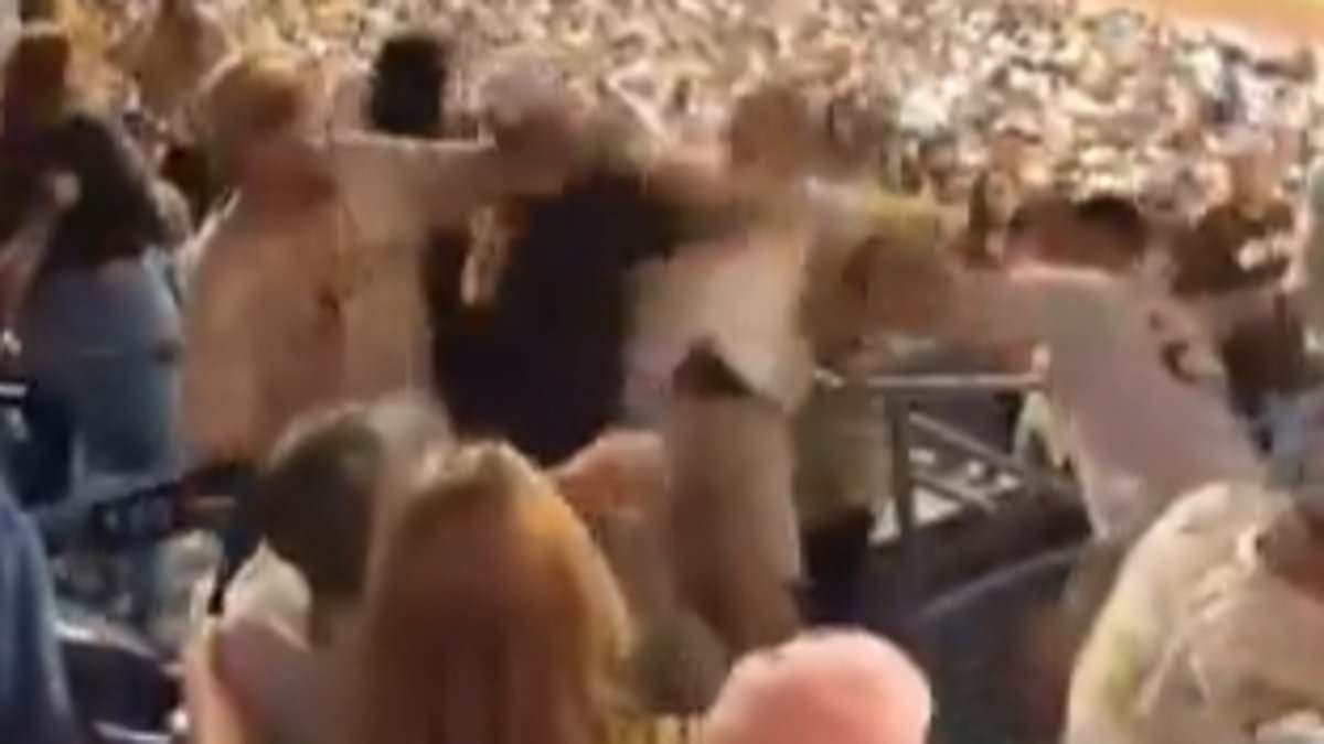 San Diego Padres fans in vicious brawl with brutal punches thrown in the stands during MLB game