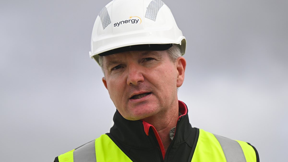 Anthony Albanese's government considering a new tax to help Australia acheive its climate targets