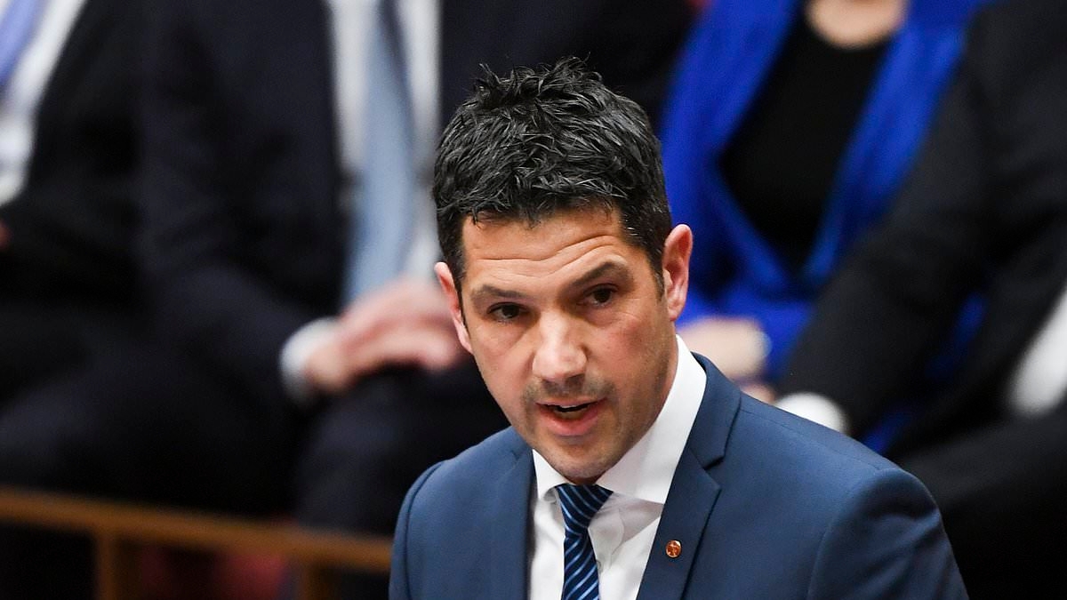 Liberals shock with bombshell announcement - only to backflip hours later: 'It's time to scrap Net Zero and Save Australia!'