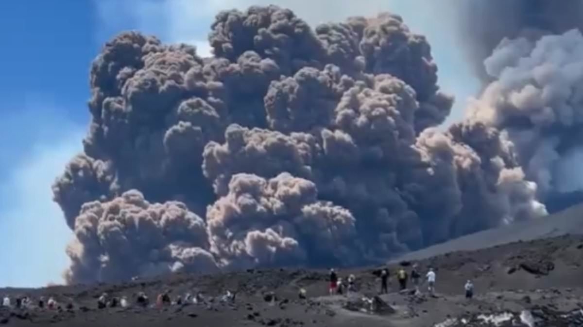 Dramatic new footage shows tourists on Mount Etna running for their lives as ash pours from volcano's crater… while others stop to take pictures of explosion