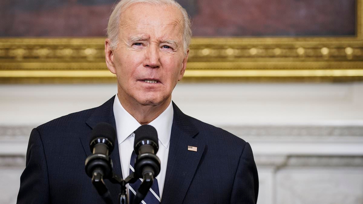 Joe Biden's daughter weighs in on clone conspiracy theory peddled by Trump with telling picture: Live updates