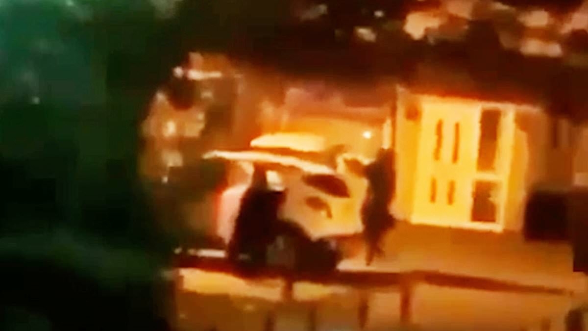 Moment gunman opens fire in the middle of the street after brawl breaks out in Birmingham