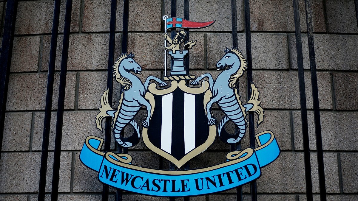 EXCLUSIVE Newcastle hold talks with former Real Madrid chief in their hunt for a new CEO - after Darren Eales was forced to step down on health grounds
