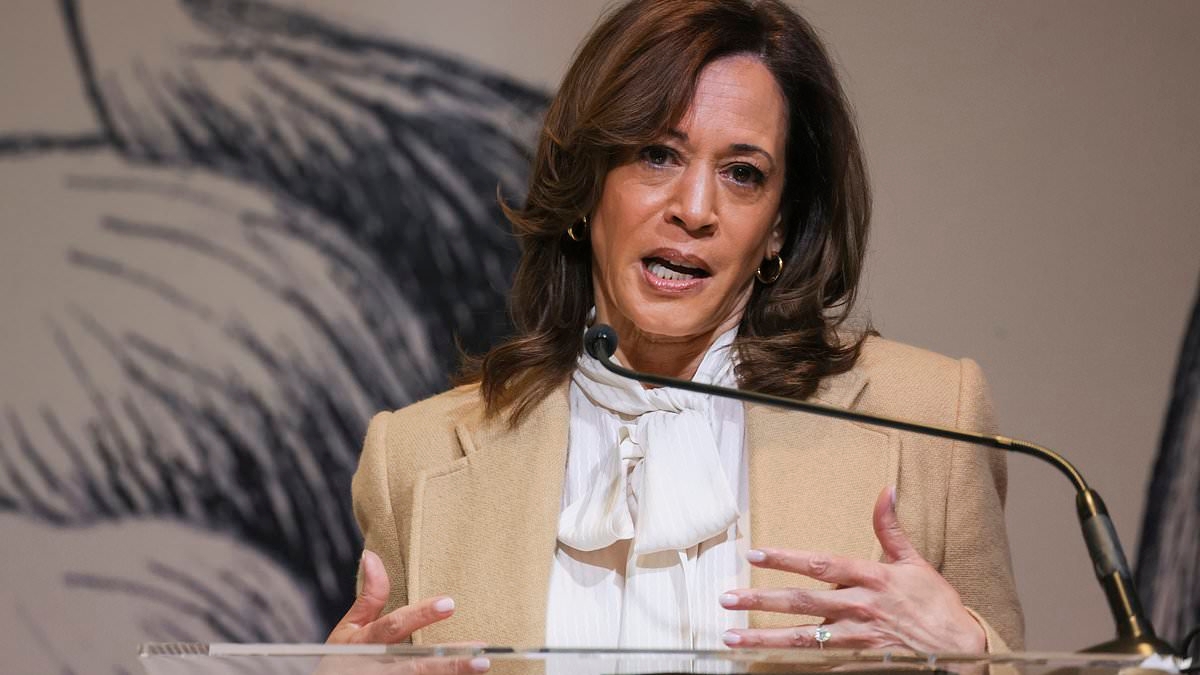 Kamala Harris gives clearest signal yet she will run for White House again in 2028