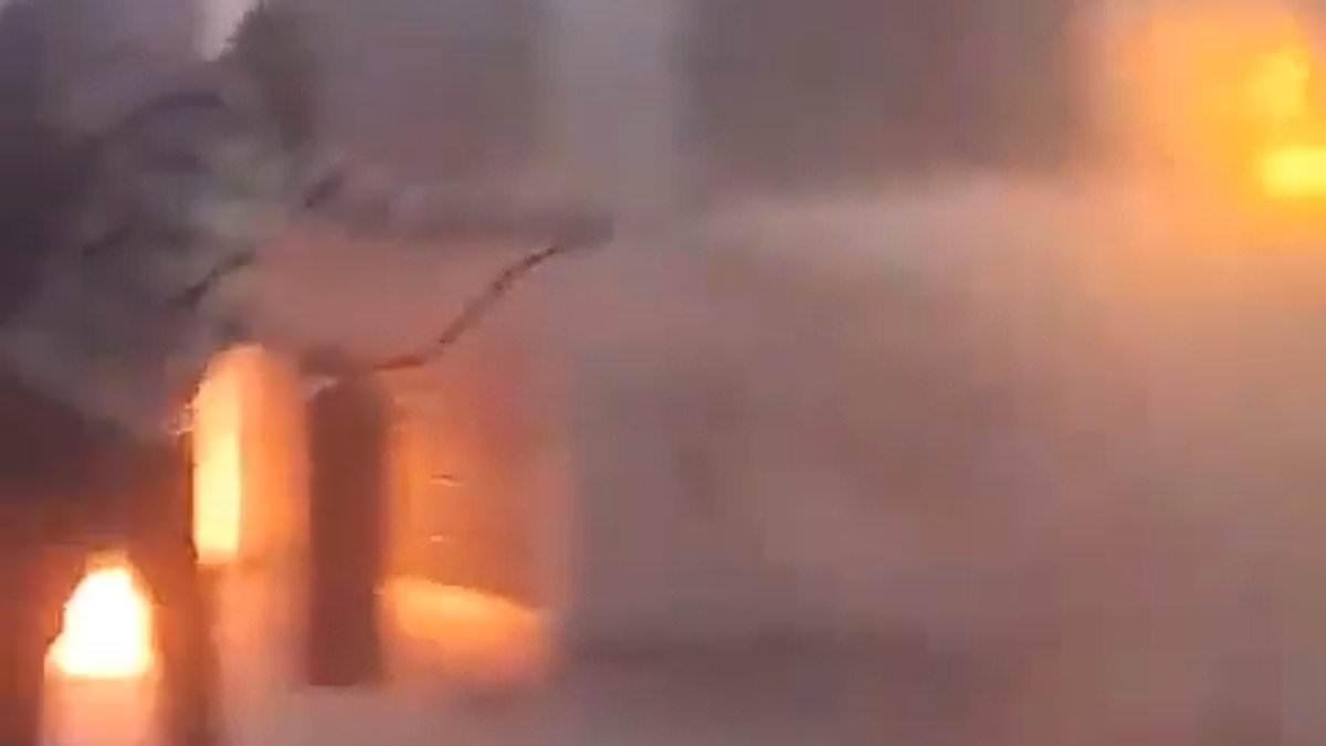 Panicked tourists run for their lives as man sets himself on fire in busy Brazil subway station