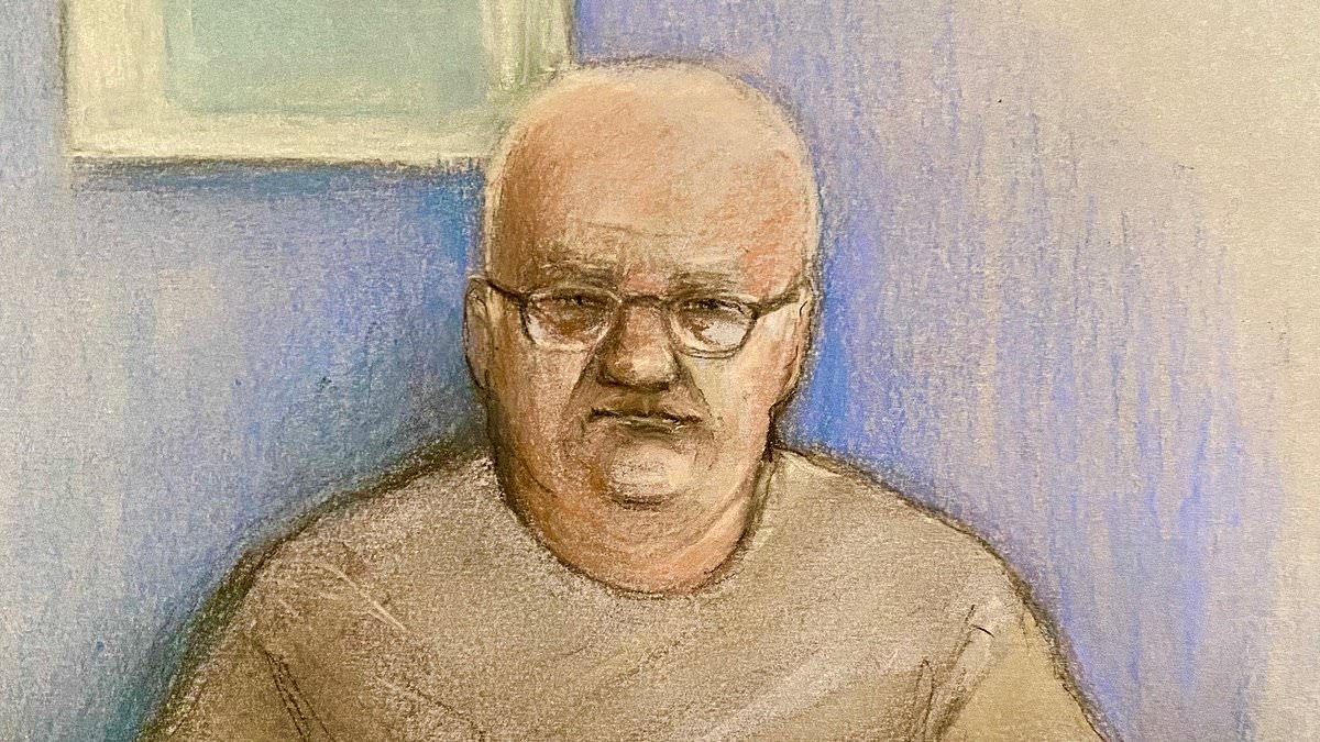 Steve Wright denies attempting to kidnap a 22-year-old woman the night before he 'murdered' a teenage girl