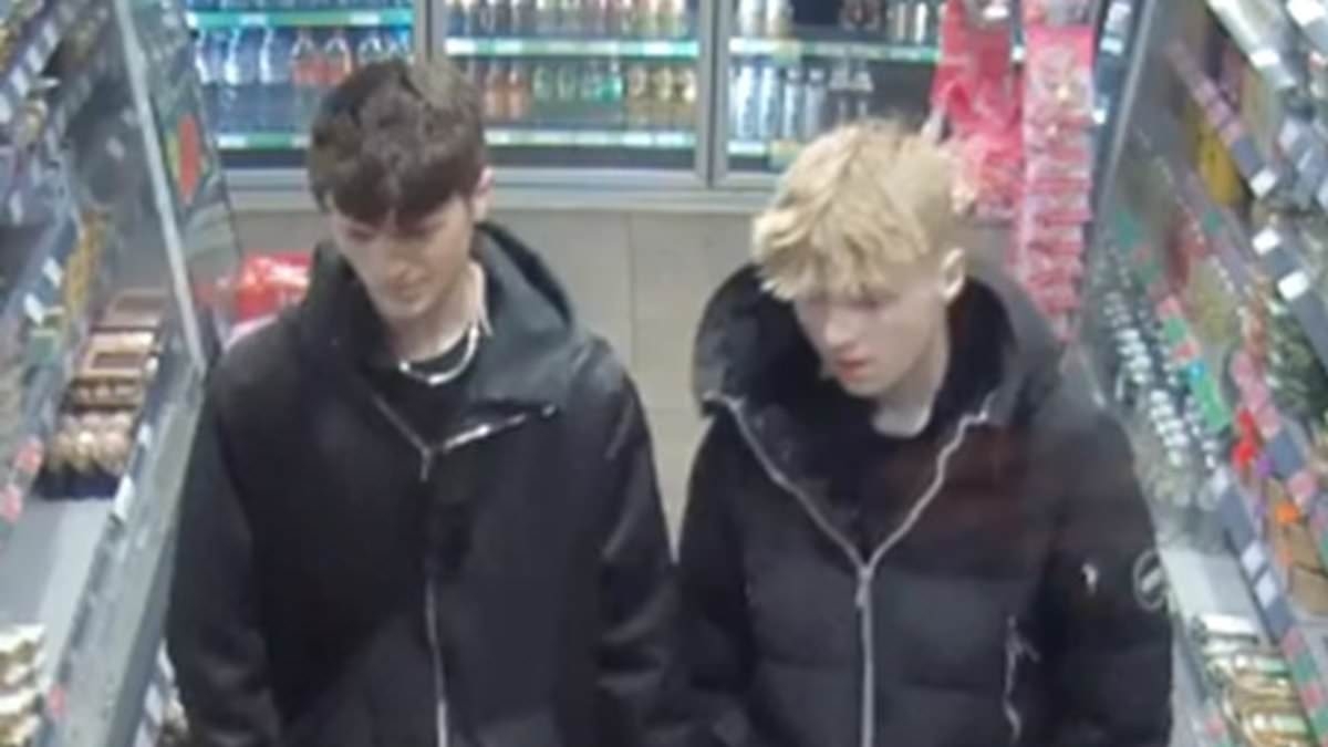 Police release CCTV of two teenagers after man is left with life-changing injuries in 'hit-and-run': Two are arrested on suspicion of attempted murder