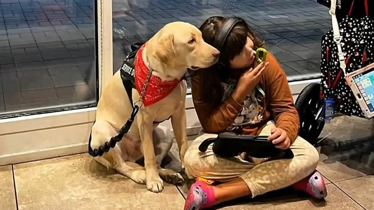 Emotional twist for autistic girl heartlessly separated from her support dog at airport