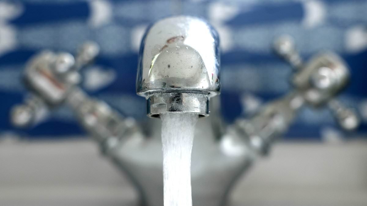 Woman in Texas dies from brain-eating infection after rinsing her nose with TAP WATER