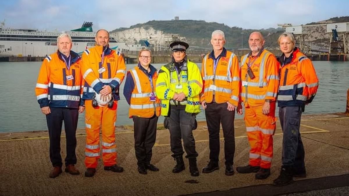 CHRISTOPHER STEVENS reviews Dover 24/7: Britain's Busiest Port - From spies to three million bananas, it's all in a day's work