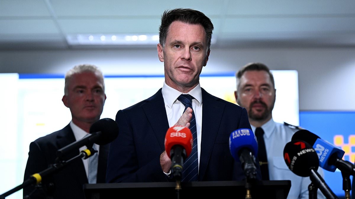 BREAKING NEWS Chris Minns gives Anthony Albanese's government a brutal wake-up call on issue impacting millions