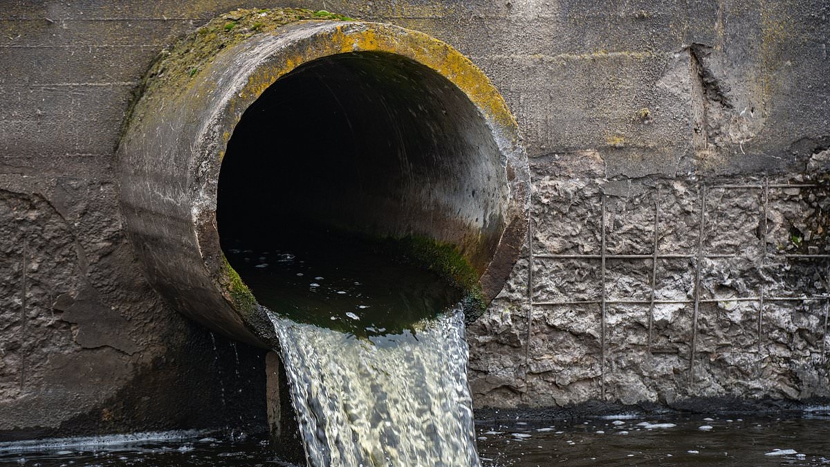 Water sector is failing and needs much stronger regulations, independent commission reports