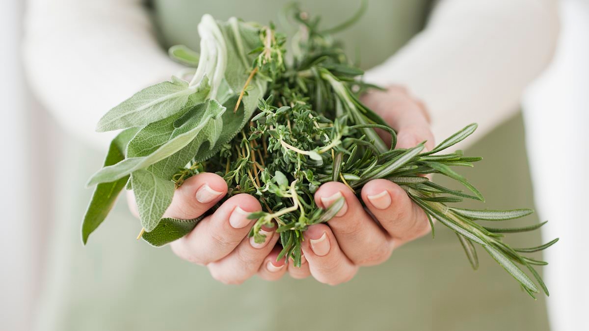 The herbs and spices that CAN reduce bloating, cut blood sugar or boost memory