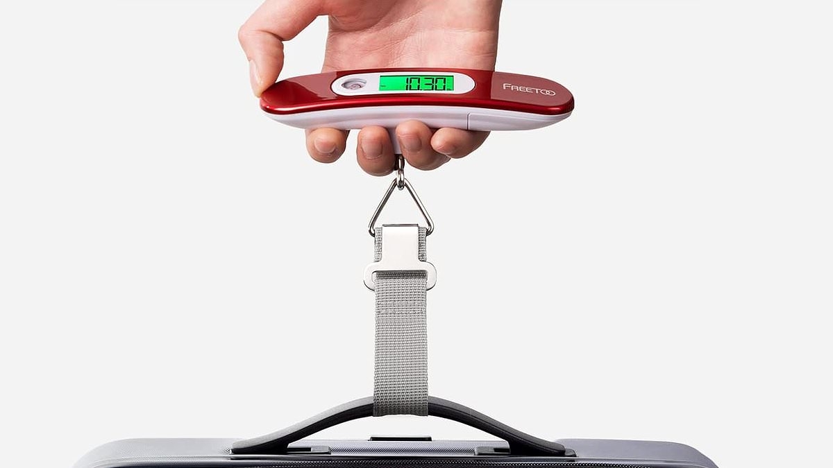 Shoppers race to buy 'absolute must-have' holiday gadget slashed from £20 to £9