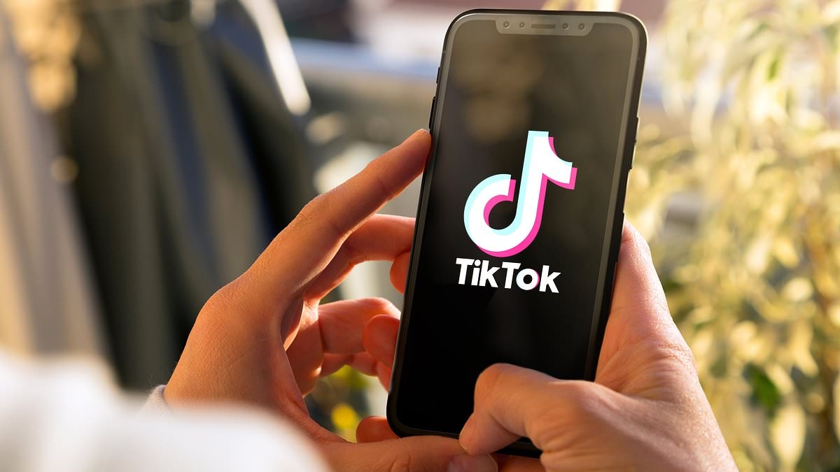 Urgent warning over TikTok Shop food listings: Fears shoppers 'at risk' after items sold without vital information