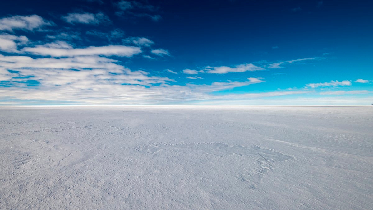West Antarctic Ice Sheet is on the verge of COLLAPSING - sparking 13 feet of irreversible global sea level rise, scientists warn