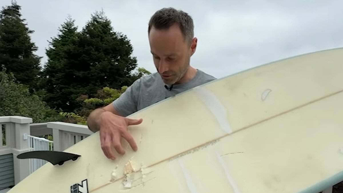 Horror as 10ft shark rams surfer into the ocean and circles him before destroying his board