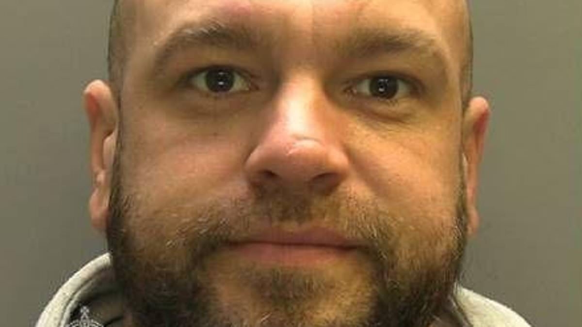Hit-and-run driver who mounted pavement and ploughed into girl, five, is released early from jail