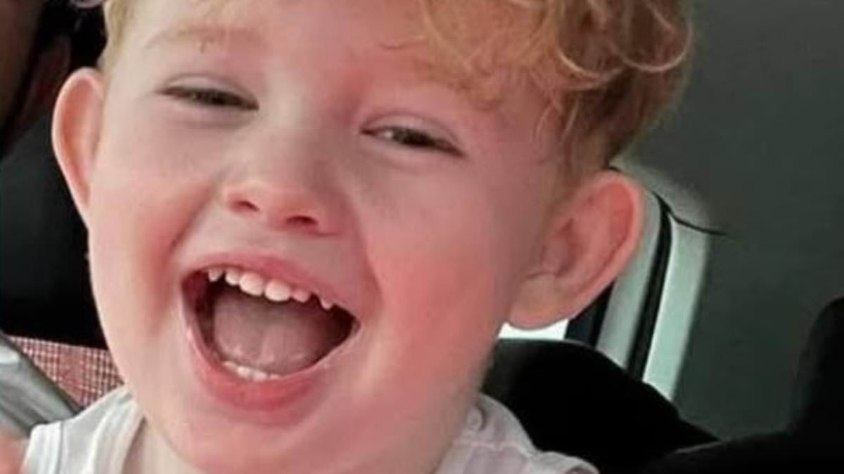 Pictured: Boy, four, killed in pick-up truck crash that also injured his one-year-old sister and father - who remains fighting for his life