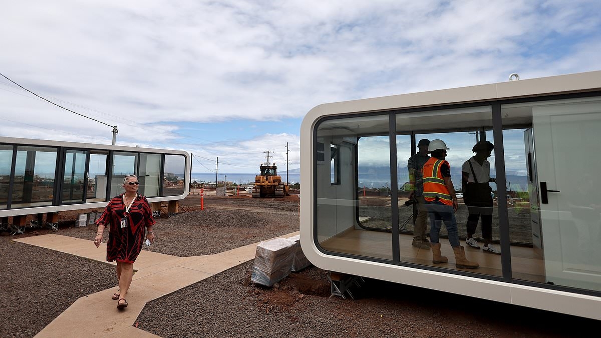 Tiny home builders are targeting fire ravished LA
