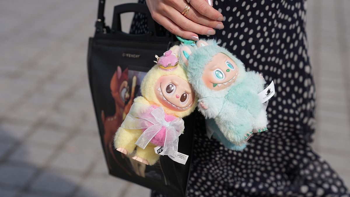 Unassuming $30 toy is sending shoppers into a FRENZY... as A-listers pay more than TRIPLE the price to buy one