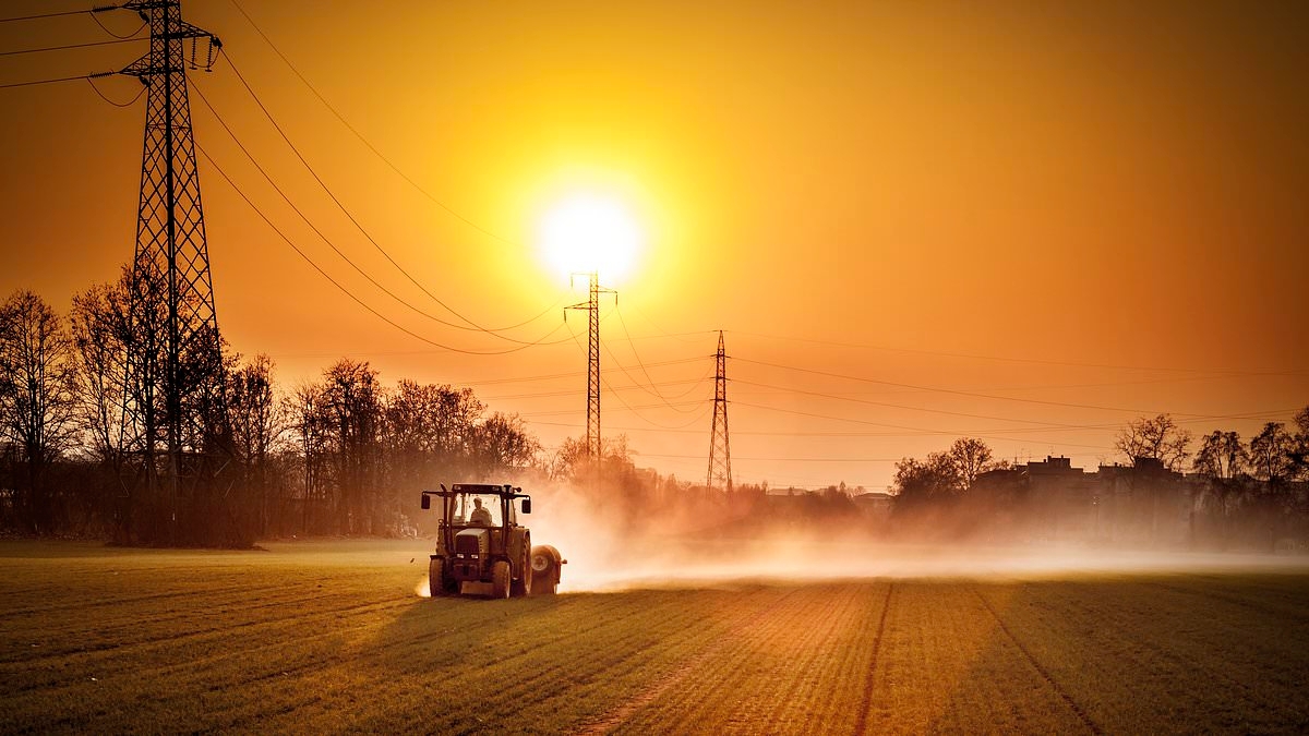 Labour's war on farmers isn't just causing suicide and despair... it's threatening Britain's national security at a time of grave peril: JAMIE BLACKETT