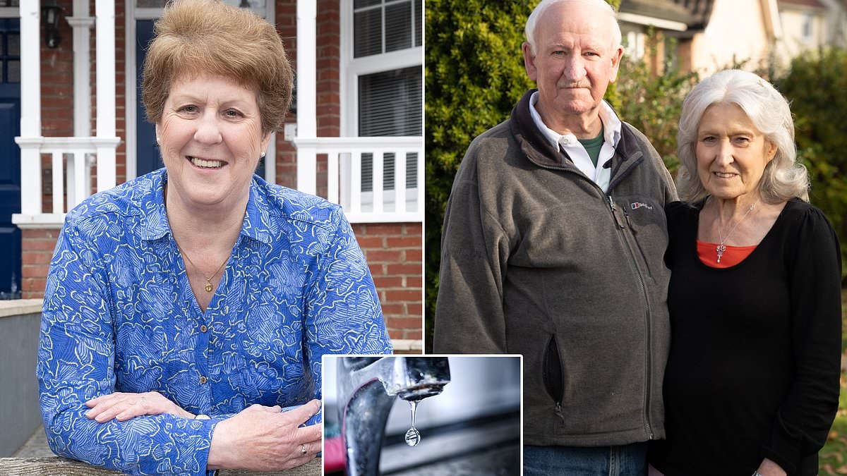 The 600,000 homeowners told their hot water could stop working - unless they switch to a smart meter