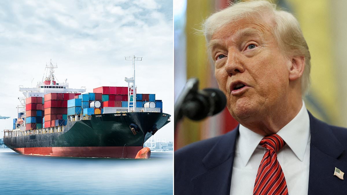 Global economy set for slowest growth since Covid as Trump's trade wars take their toll