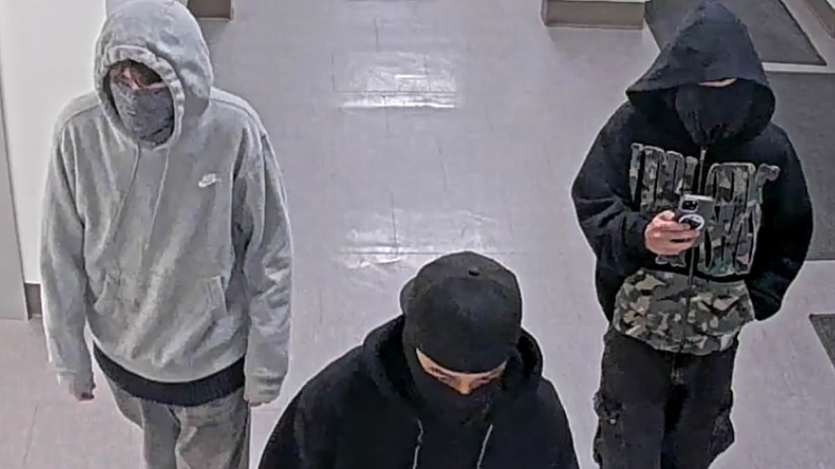 Terrifying footage shows armed teens conducting a school shooting 'dry run' in Washington
