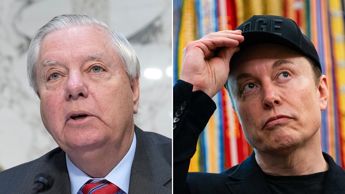 Trump ally Lindsey Graham calls out Elon Musk 'bull****' after tech titan throws his credibility under the bus