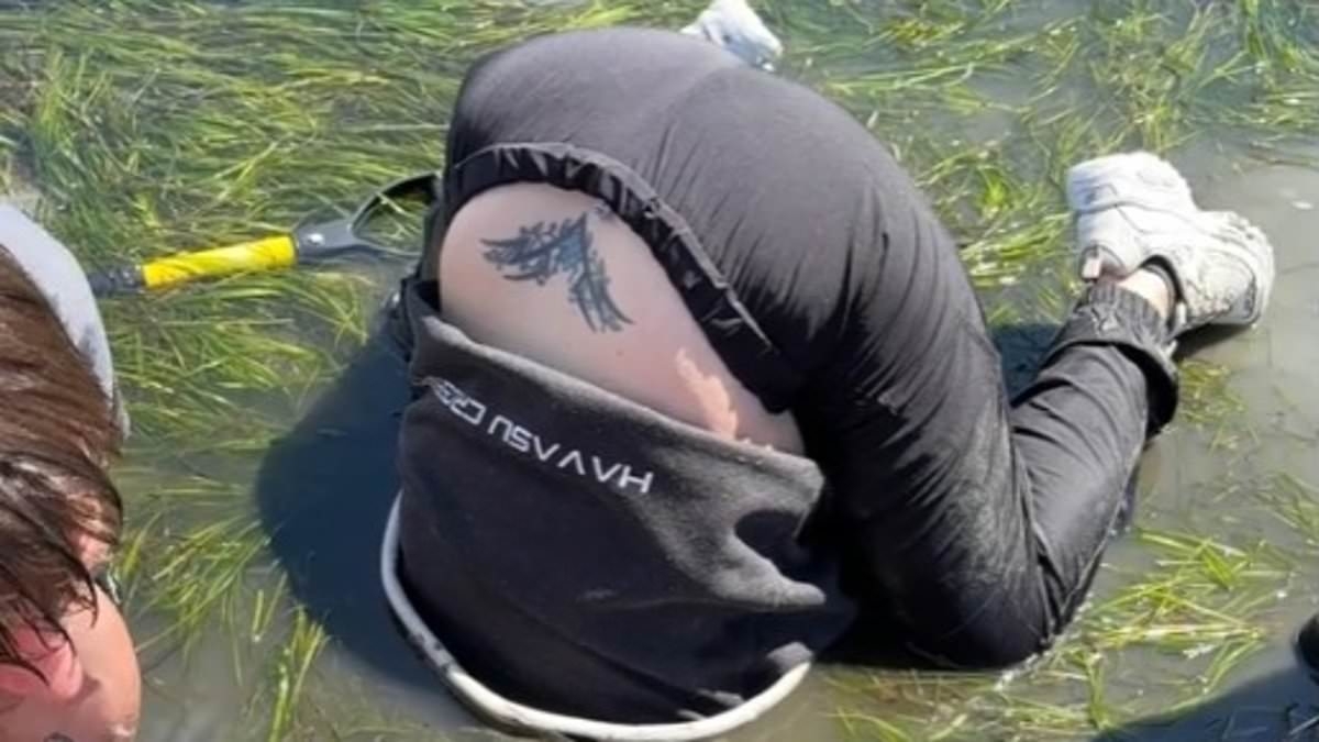 Wild video of Washington woman digging for seafood delicacy goes viral