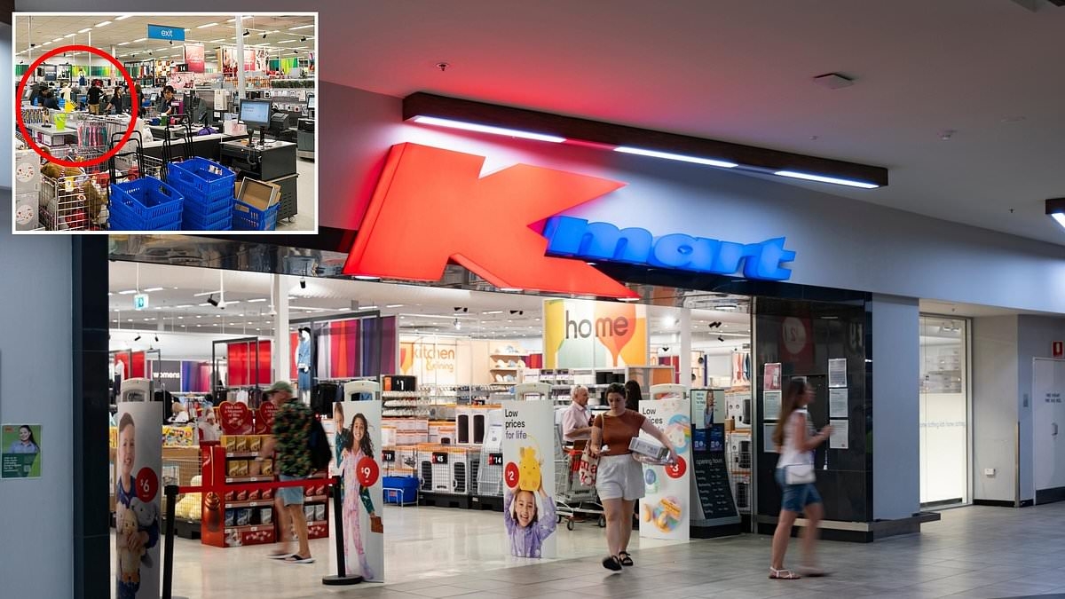 Shoppers go wild over new 'game changing' item from Kmart: 'OMG it's already sold out'
