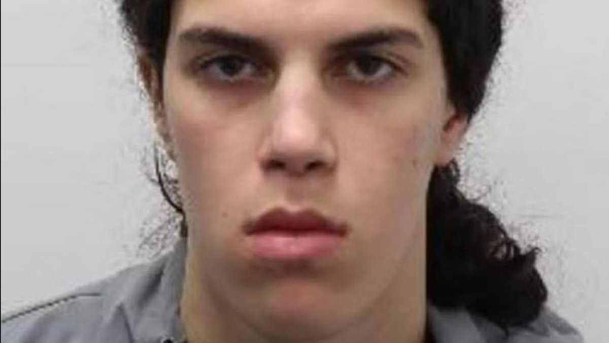 Revealed: Rolex thief, 18, who threatened to behead Aled Jones with a machete went on to attack Bridgerton star