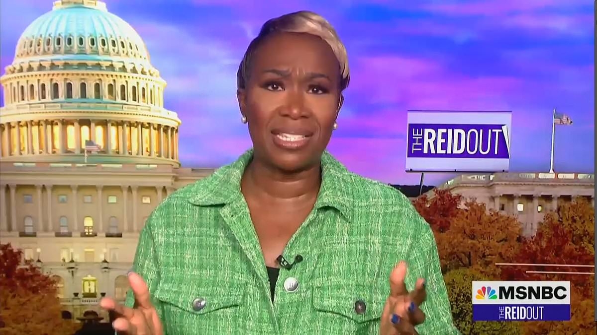 Former MSNBC star whines about the 'real' reason she was fired from struggling network
