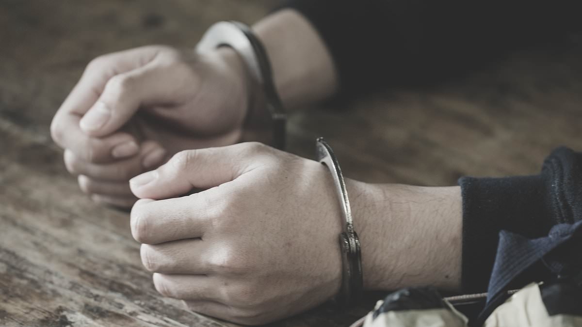 Another Australian is arrested in Bali after he was allegedly caught smuggling drugs into the country